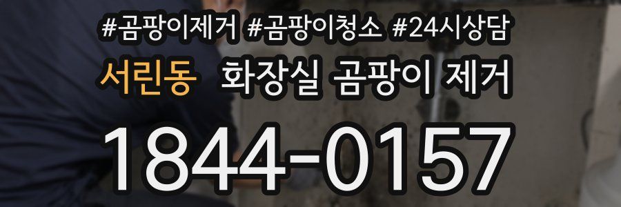 서린동 화장실 곰팡이 제거