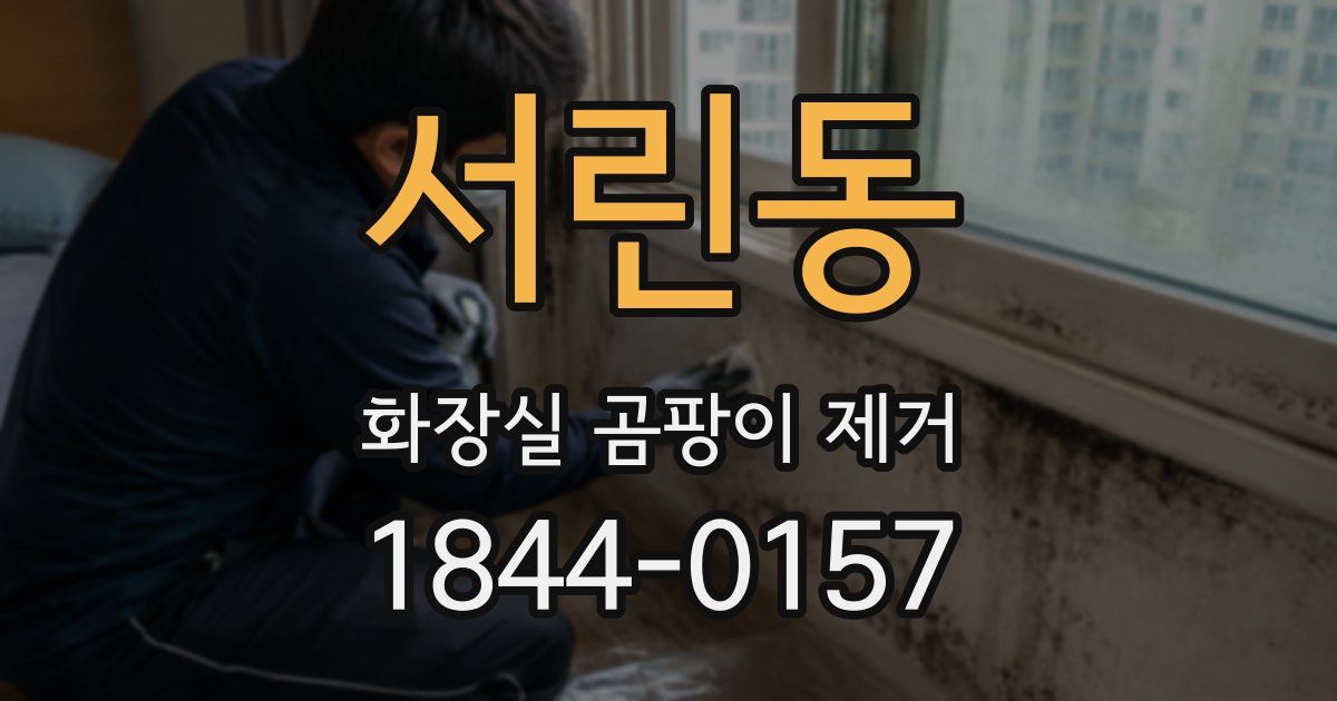 서린동 화장실 곰팡이 제거