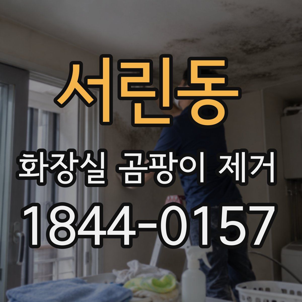 서린동 화장실 곰팡이 제거