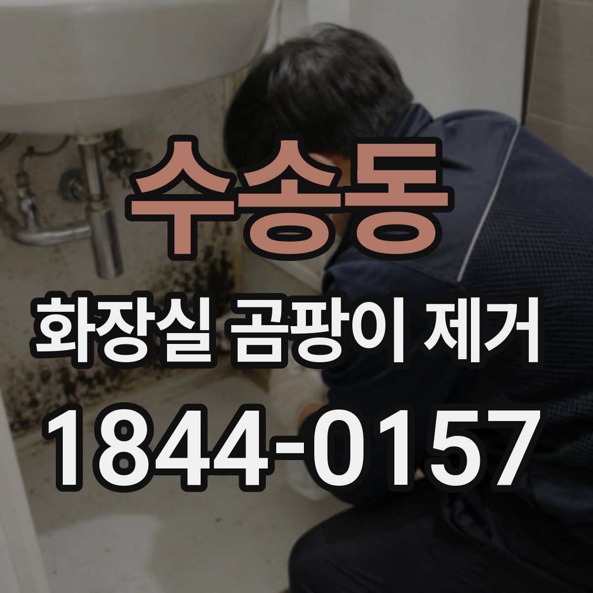 수송동 화장실 곰팡이 제거