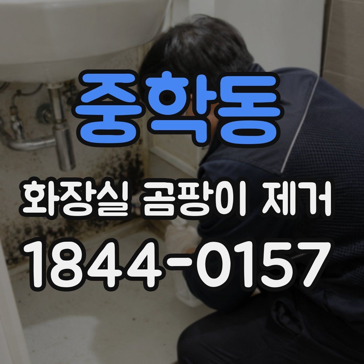 중학동 화장실 곰팡이 제거 청소해도 금방 생긴다면 먼저 점검할 곳