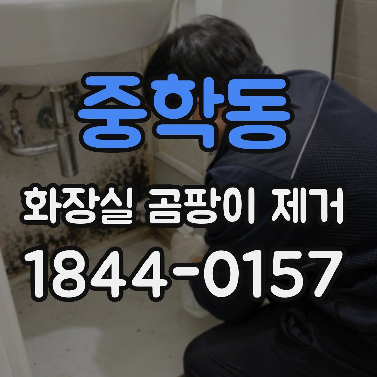 중학동 화장실 곰팡이 제거