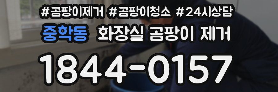 중학동 화장실 곰팡이 제거