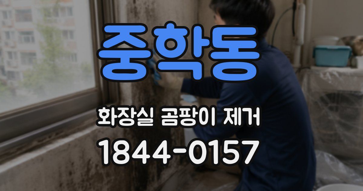 중학동 화장실 곰팡이 제거
