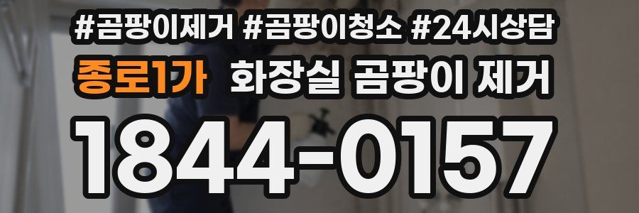 종로1가 화장실 곰팡이 제거