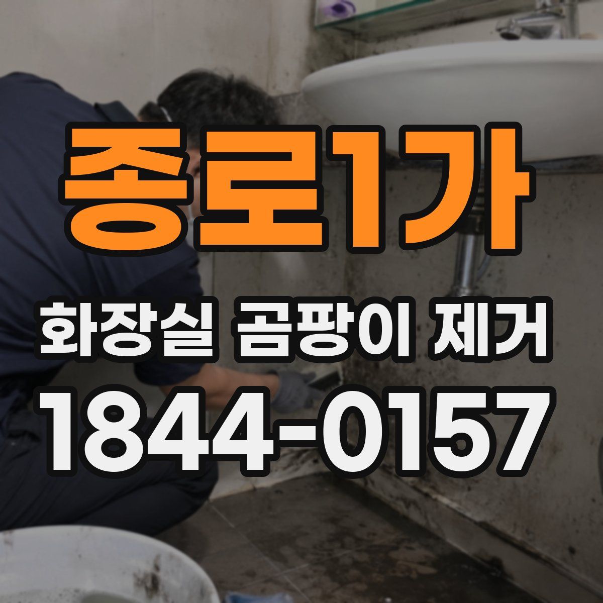 종로1가 화장실 곰팡이 제거