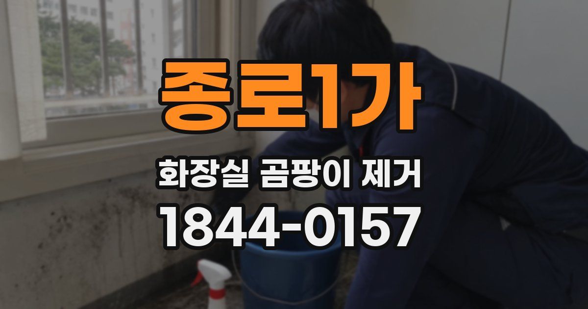 종로1가 화장실 곰팡이 제거