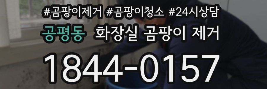 공평동 화장실 곰팡이 제거