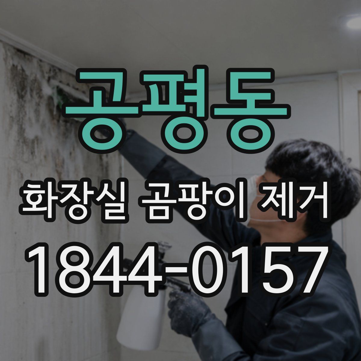 공평동 화장실 곰팡이 제거