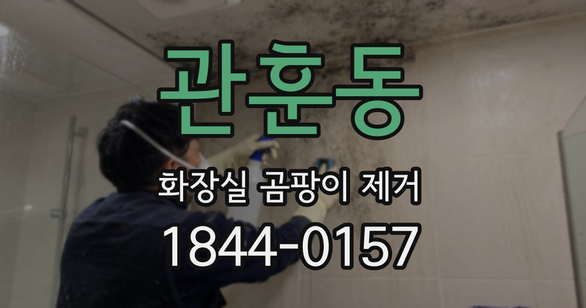 관훈동 화장실 곰팡이 제거