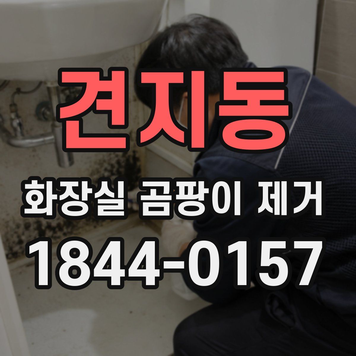 견지동 화장실 곰팡이 제거