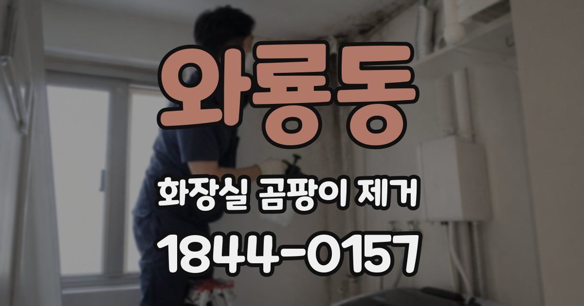 와룡동 화장실 곰팡이 제거