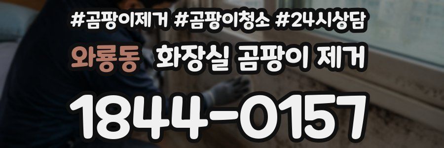 와룡동 화장실 곰팡이 제거