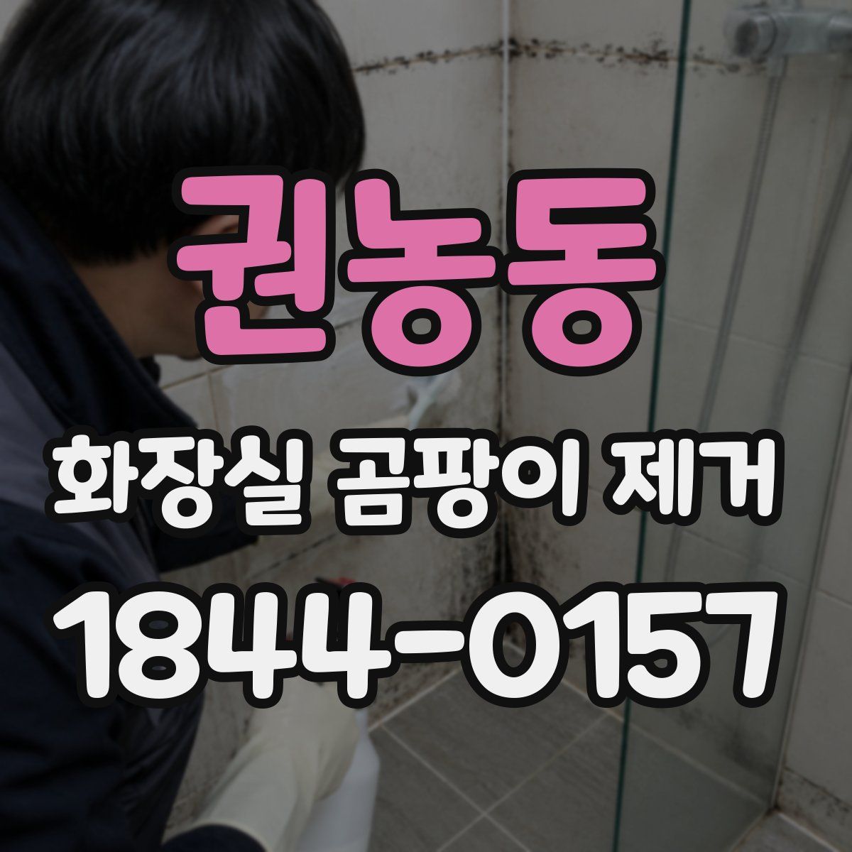 권농동 화장실 곰팡이 제거