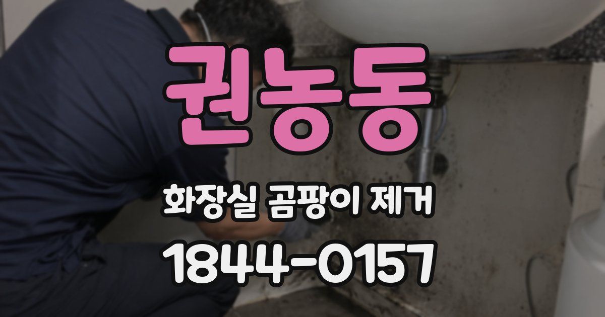 권농동 화장실 곰팡이 제거