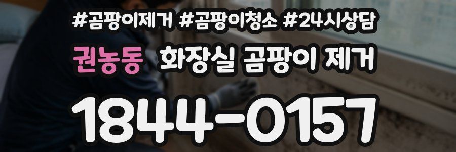 권농동 화장실 곰팡이 제거