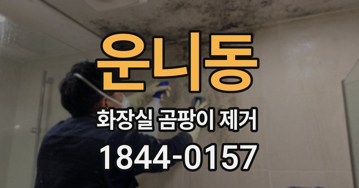 운니동 화장실 곰팡이 제거