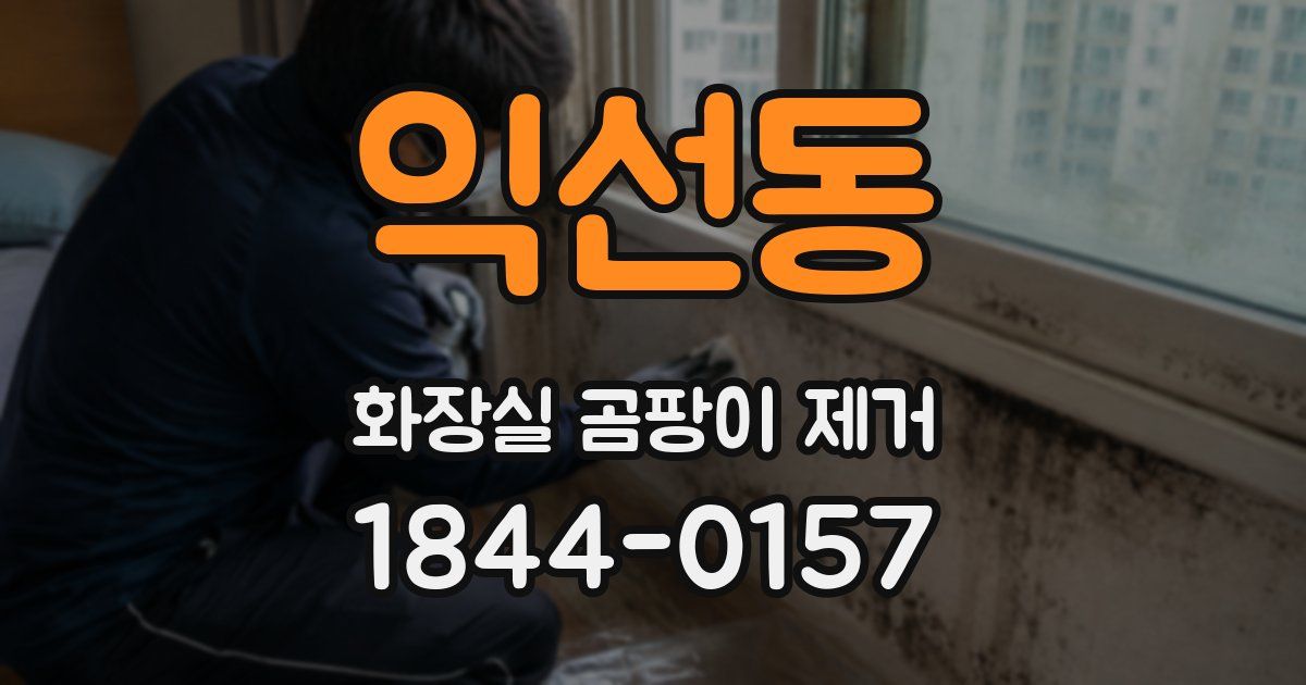 익선동 화장실 곰팡이 제거