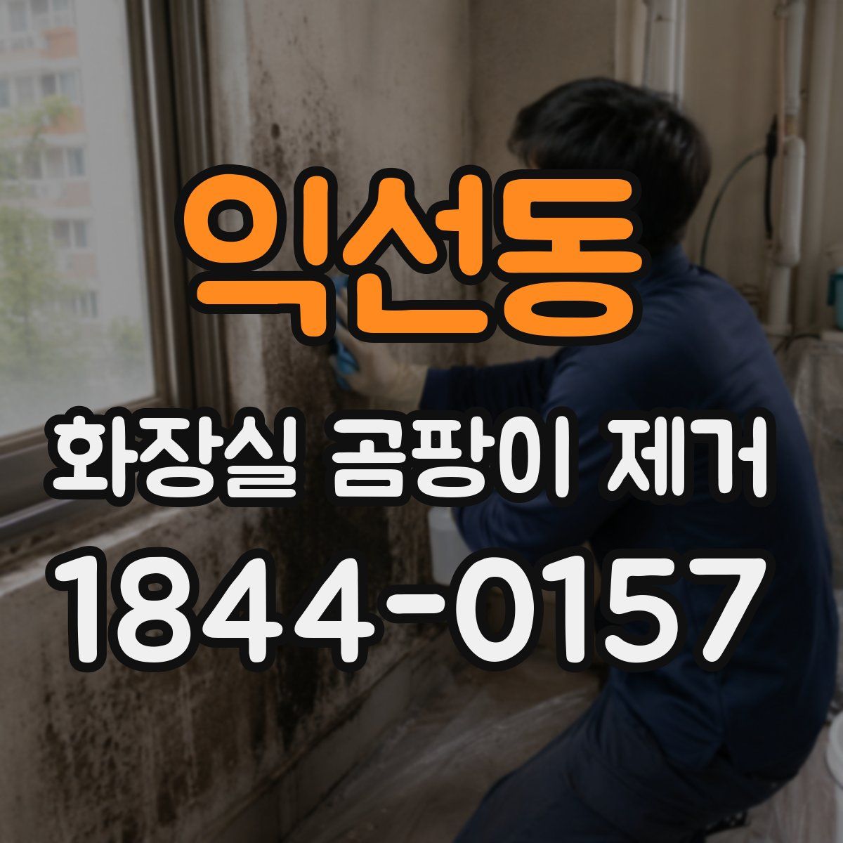 익선동 화장실 곰팡이 제거