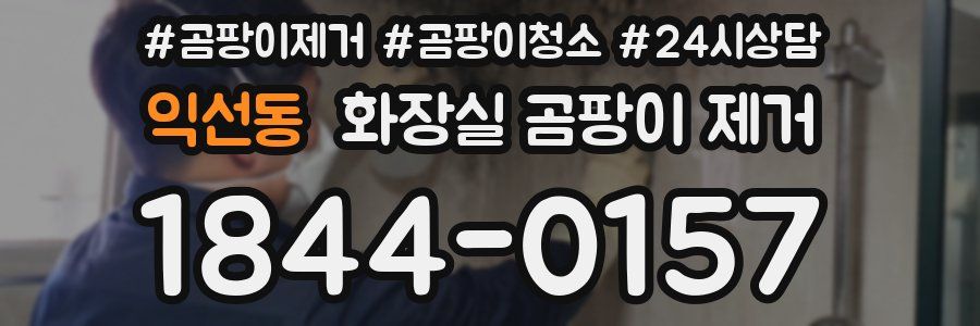 익선동 화장실 곰팡이 제거