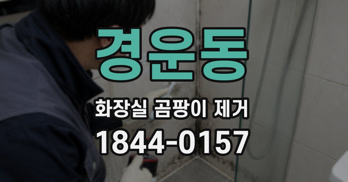 경운동 화장실 곰팡이 제거