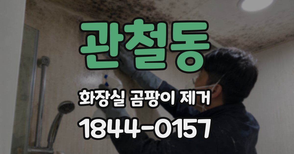 관철동 화장실 곰팡이 제거