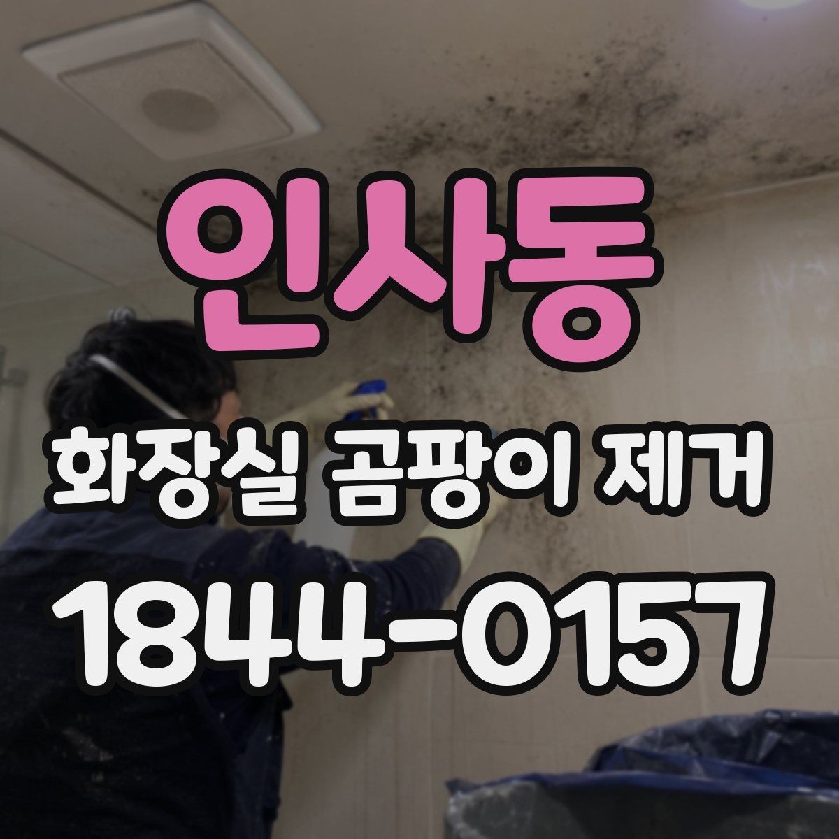 인사동 화장실 곰팡이 제거 장마철에는 어떻게 주기를 조절할까