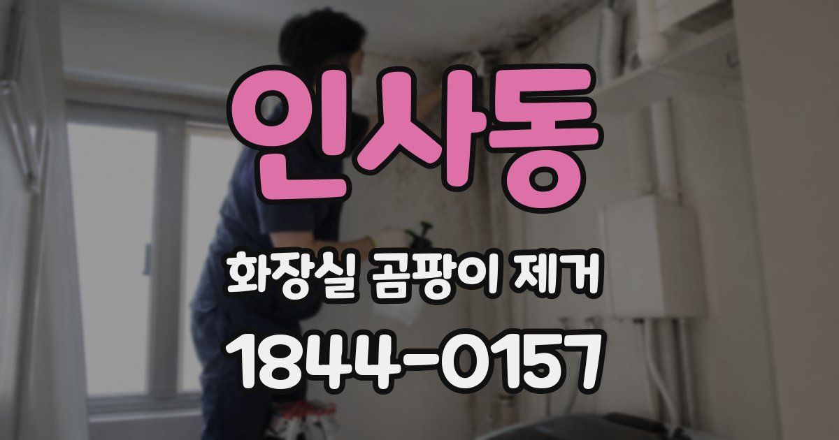 인사동 화장실 곰팡이 제거