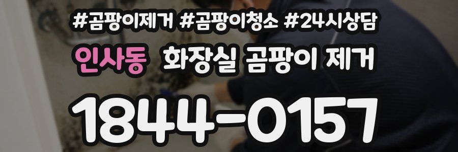 인사동 화장실 곰팡이 제거