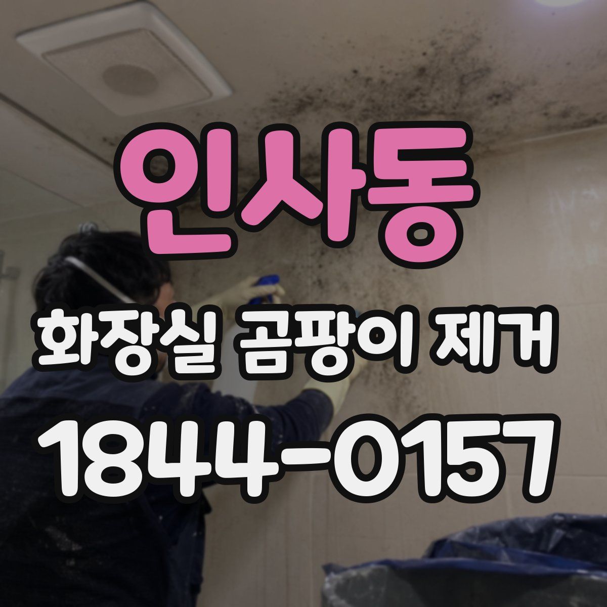 인사동 화장실 곰팡이 제거