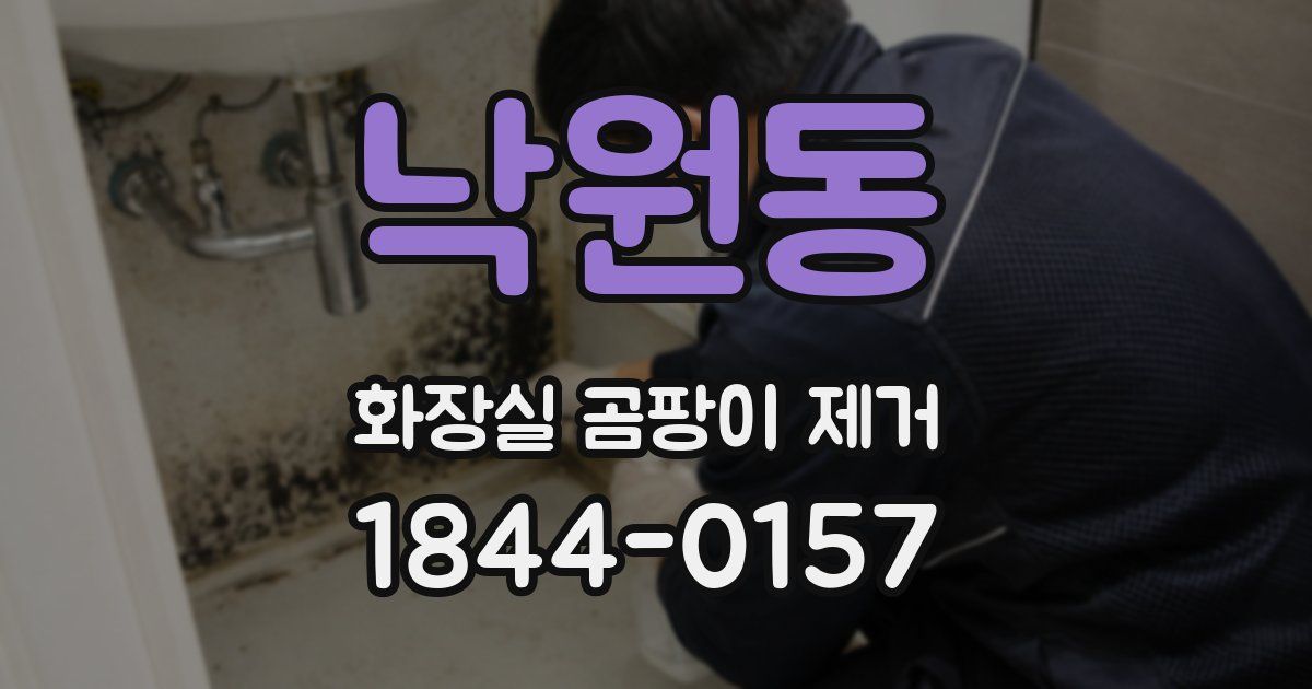 낙원동 화장실 곰팡이 제거