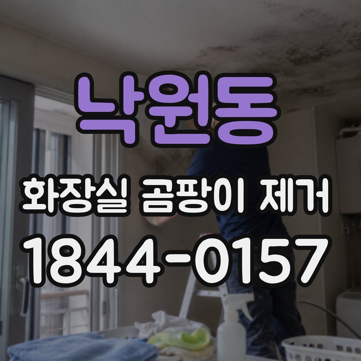 낙원동 화장실 곰팡이 제거