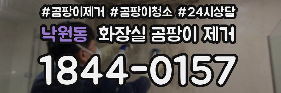 낙원동 화장실 곰팡이 제거