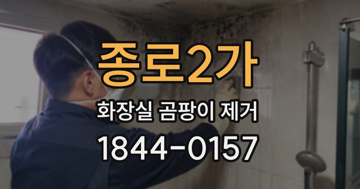 종로2가 화장실 곰팡이 제거