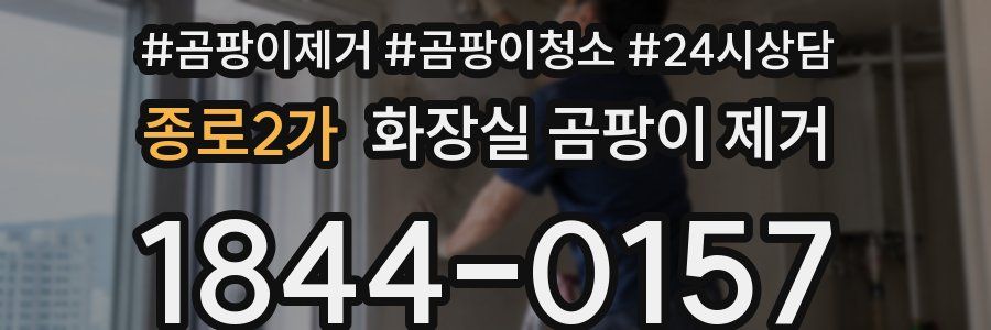 종로2가 화장실 곰팡이 제거