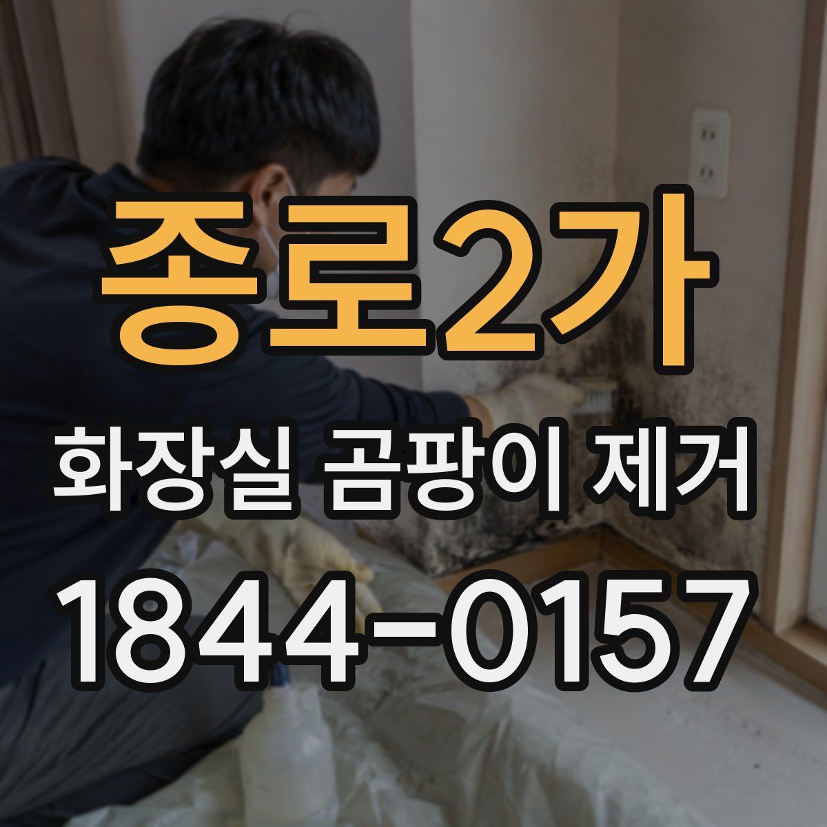종로2가 화장실 곰팡이 제거