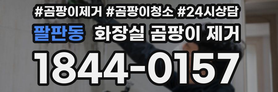 팔판동 화장실 곰팡이 제거