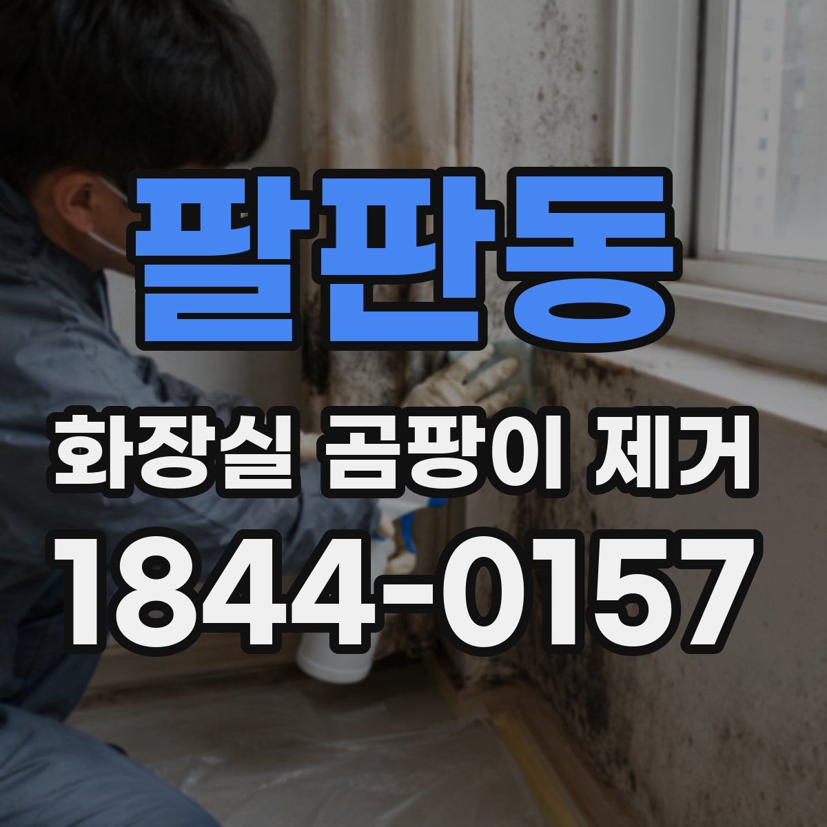 팔판동 화장실 곰팡이 제거