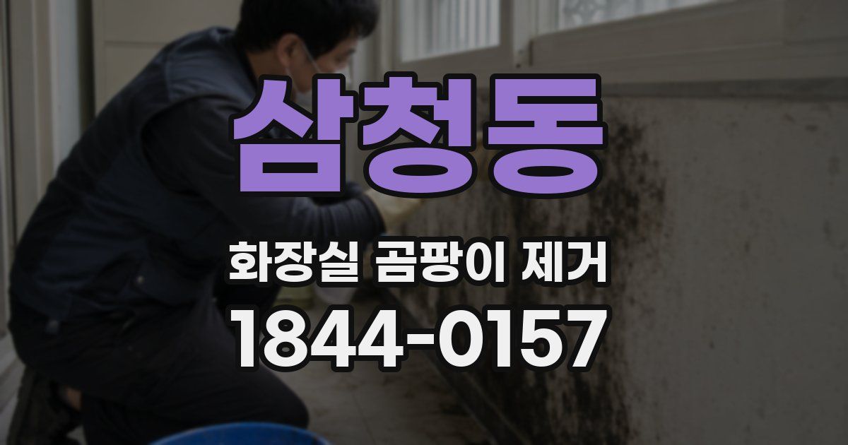 삼청동 화장실 곰팡이 제거