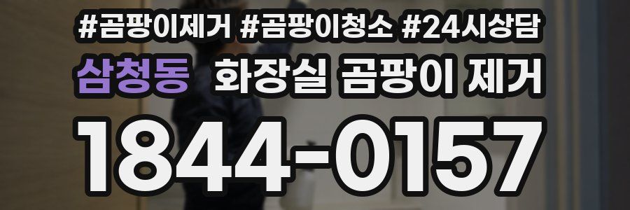 삼청동 화장실 곰팡이 제거