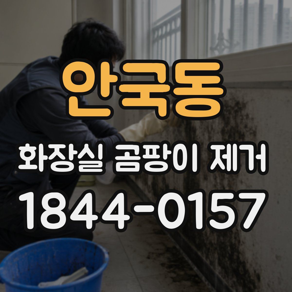 안국동 화장실 곰팡이 제거