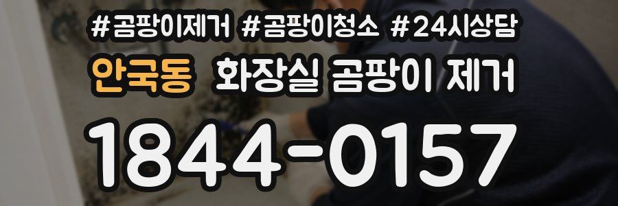 안국동 화장실 곰팡이 제거