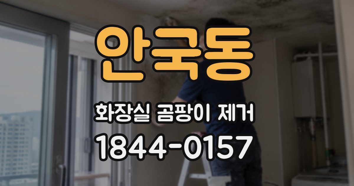 안국동 화장실 곰팡이 제거