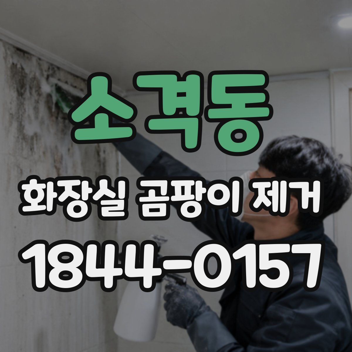 소격동 화장실 곰팡이 제거