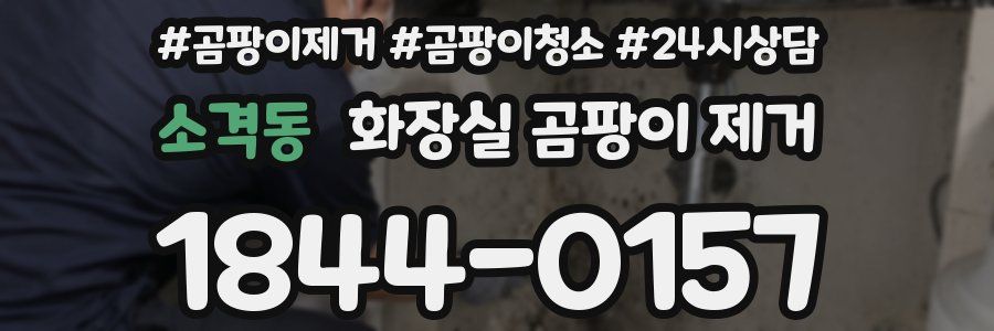 소격동 화장실 곰팡이 제거