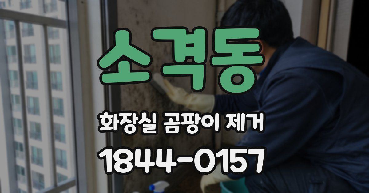 소격동 화장실 곰팡이 제거