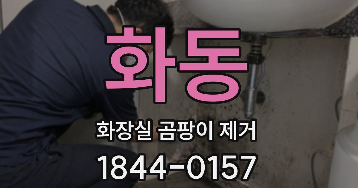 화동 화장실 곰팡이 제거