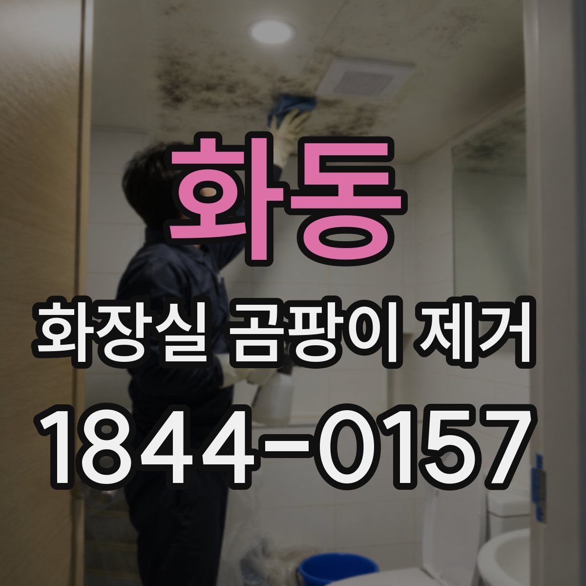 화동 화장실 곰팡이 제거