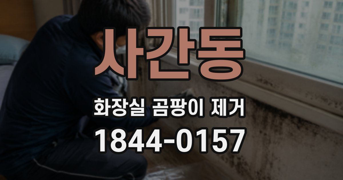 사간동 화장실 곰팡이 제거