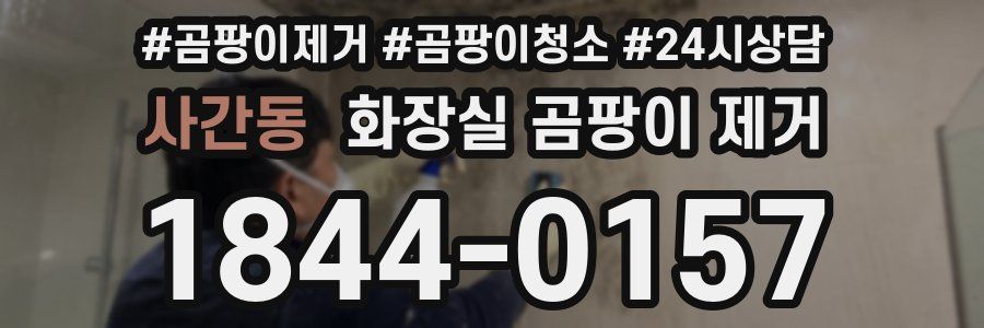 사간동 화장실 곰팡이 제거